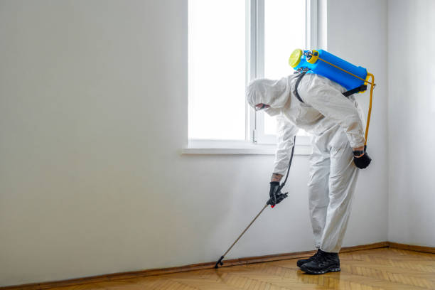 Real Estate Pest Inspections in Colby, WI